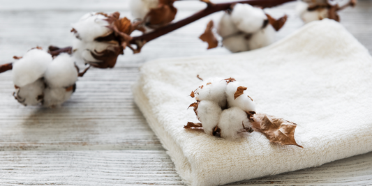 Organic Turkish Cotton: A Sustainable and Luxurious Choice